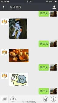 卓伟最新爆料王凯